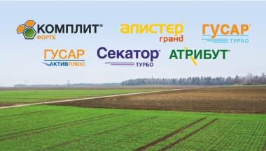 Прополка озимых – наша тема!