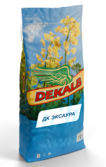 ДК Эксаура