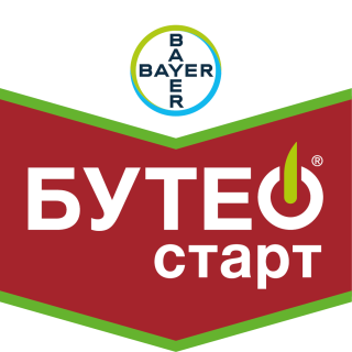 Бутео Старт