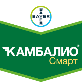 Камбалио Смарт