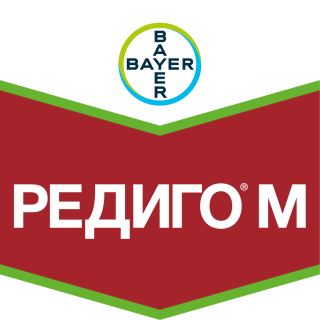 Редиго М
