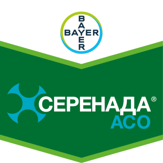 Серенада АСО