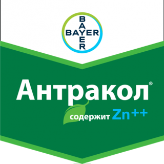 Антракол® Zn++