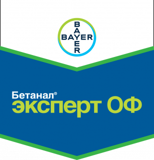 Бетанал® Эксперт ОФ
