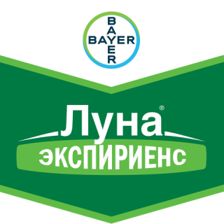 Луна® Экспириенс