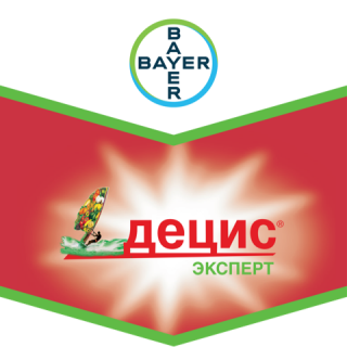 Децис® Эксперт