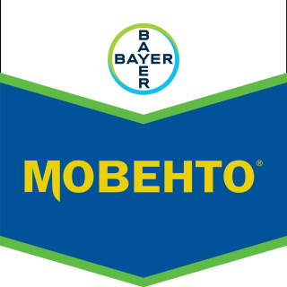 Мовенто®