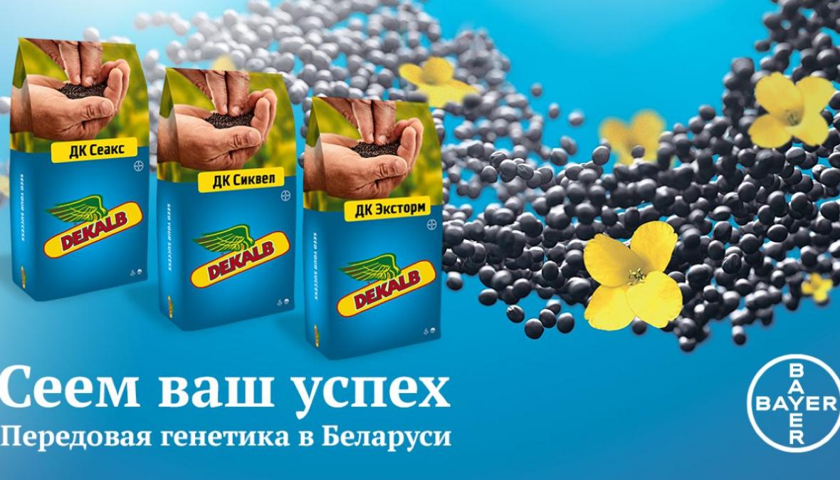 семена рапса декалб