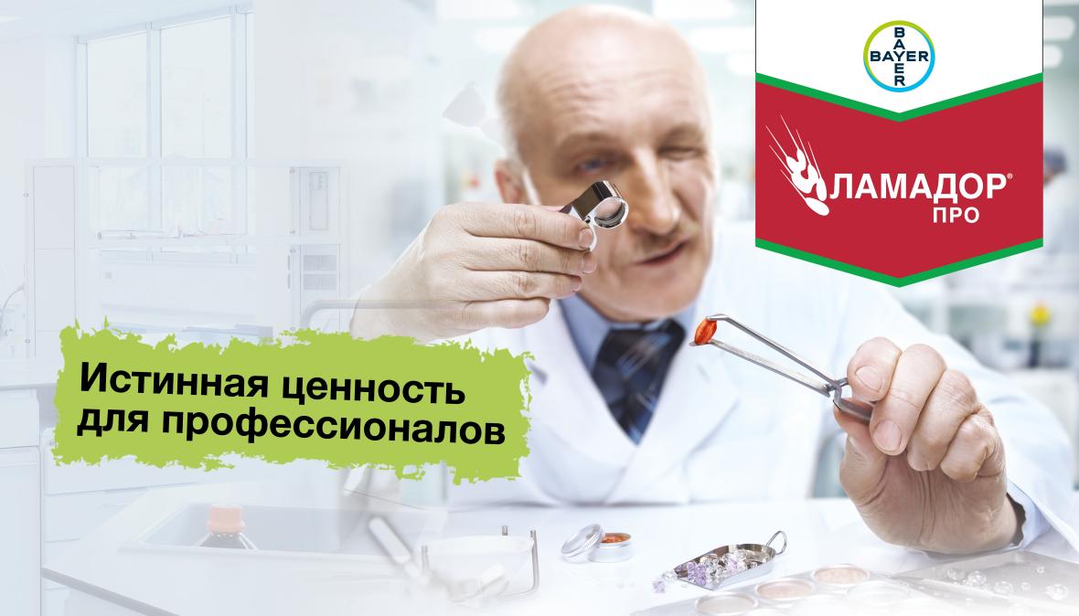 Ламадор Про протравитель на яровых 