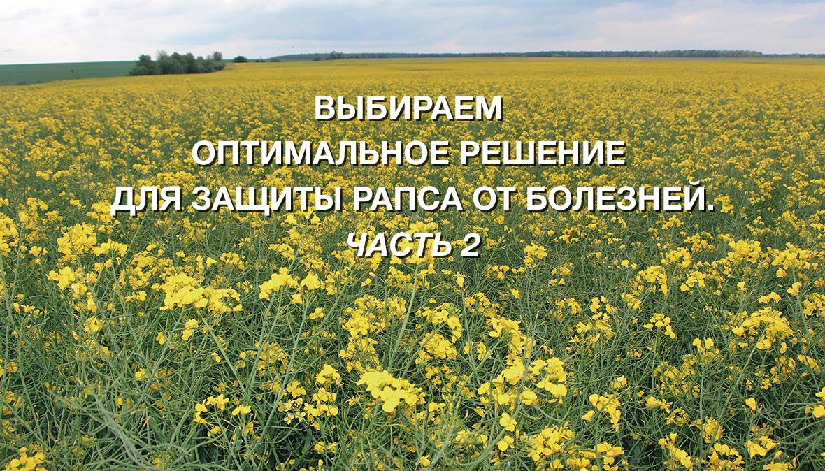 фунгициды рапс