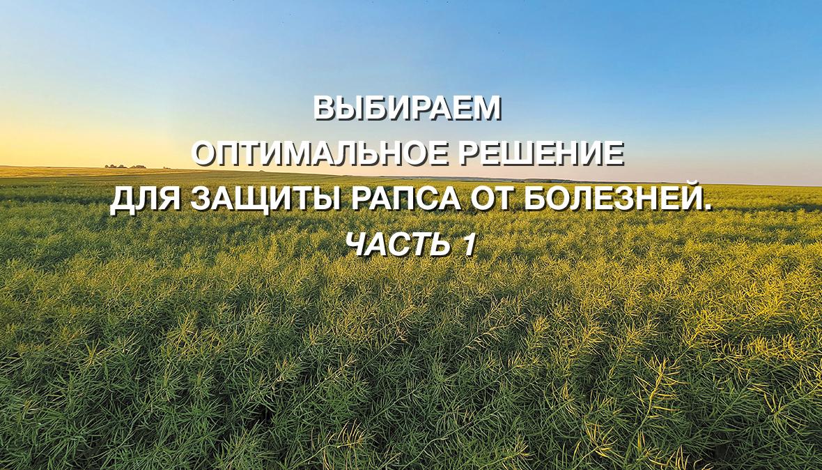 рапс защита