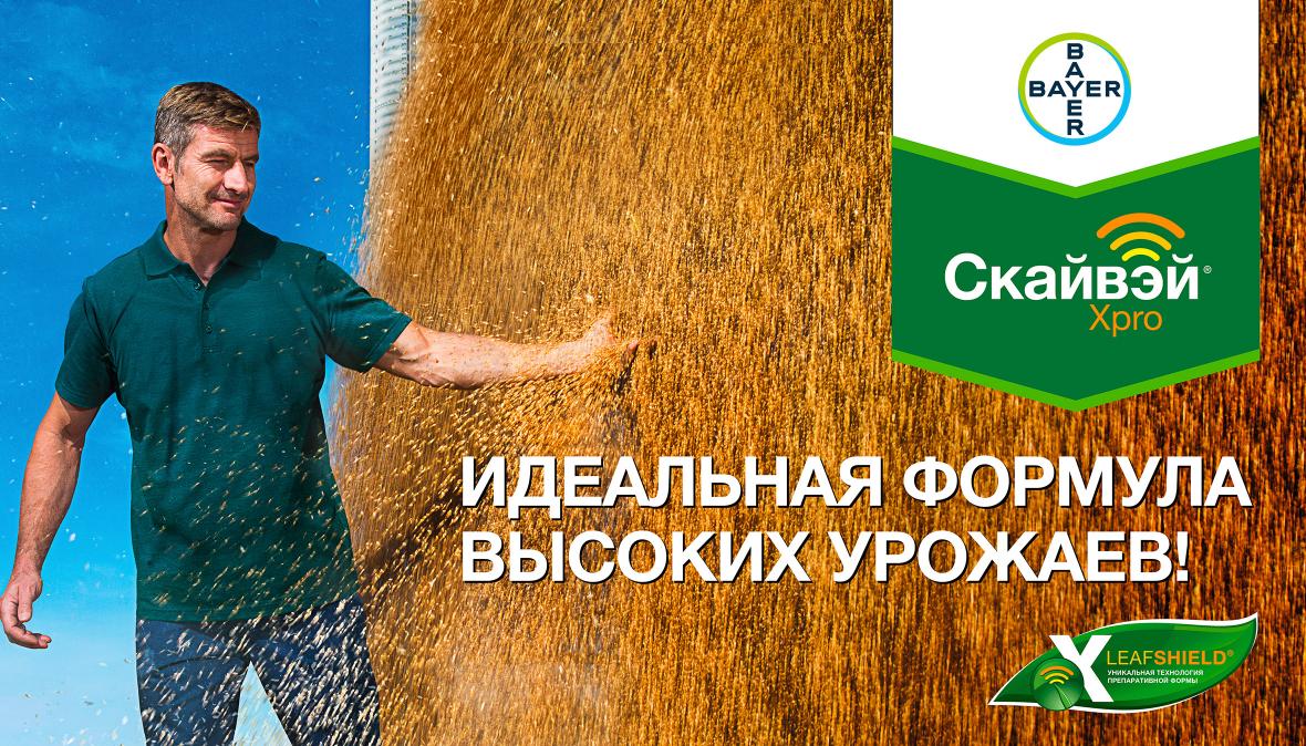 Скайвэй Xpro