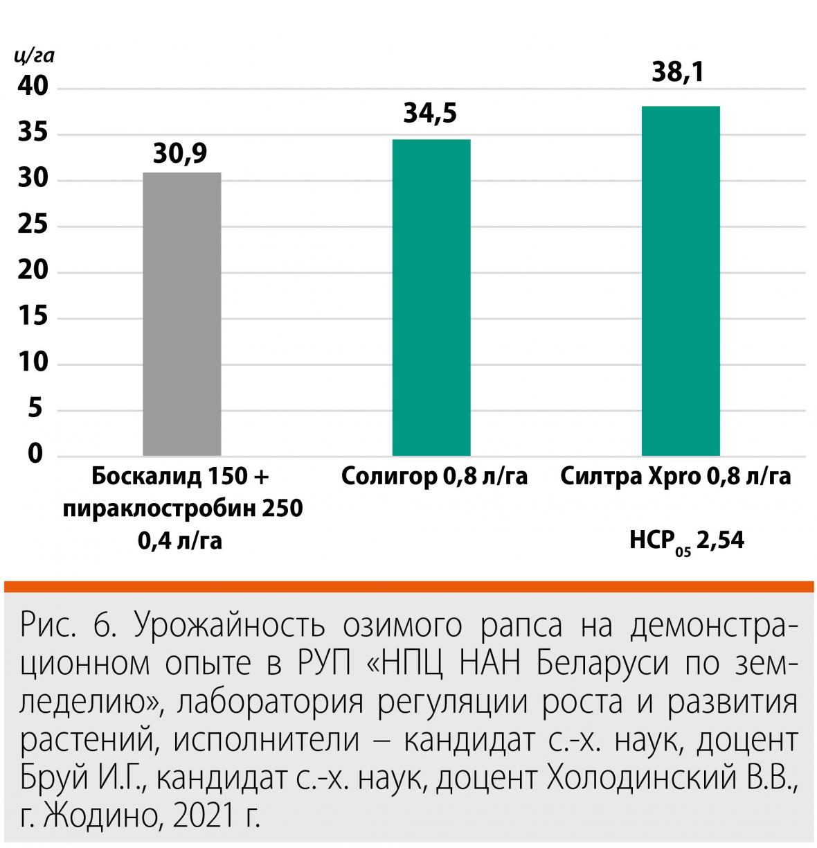 альтернариоз на стручках