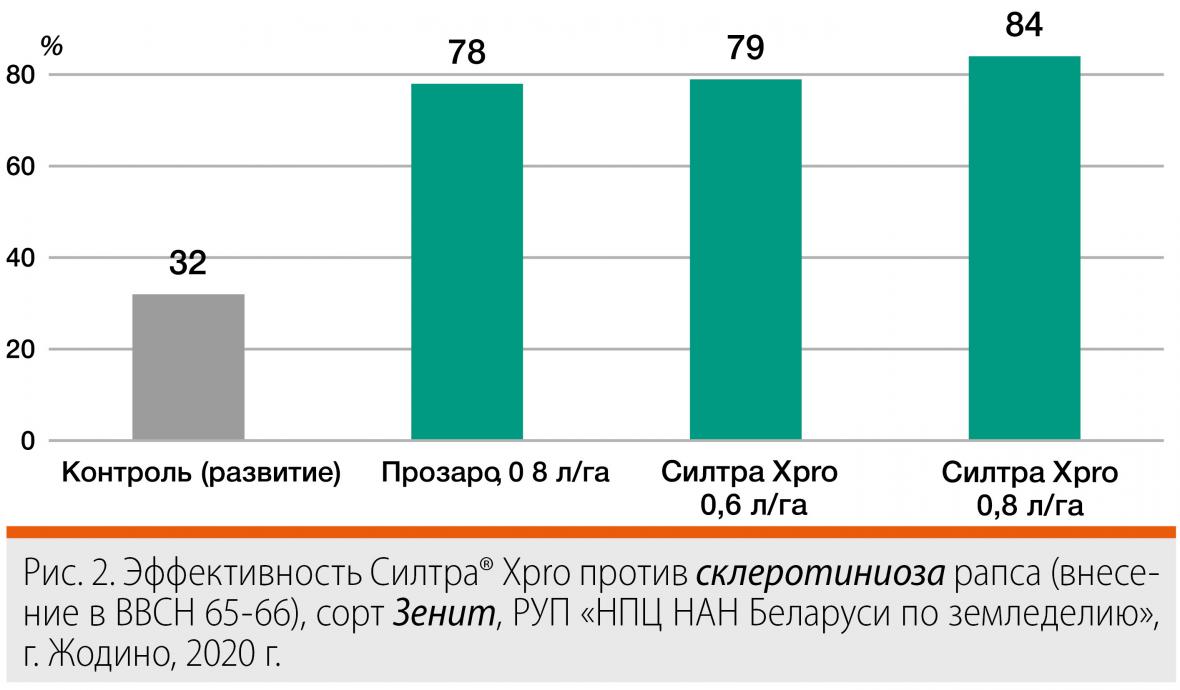 склеротиниоз
