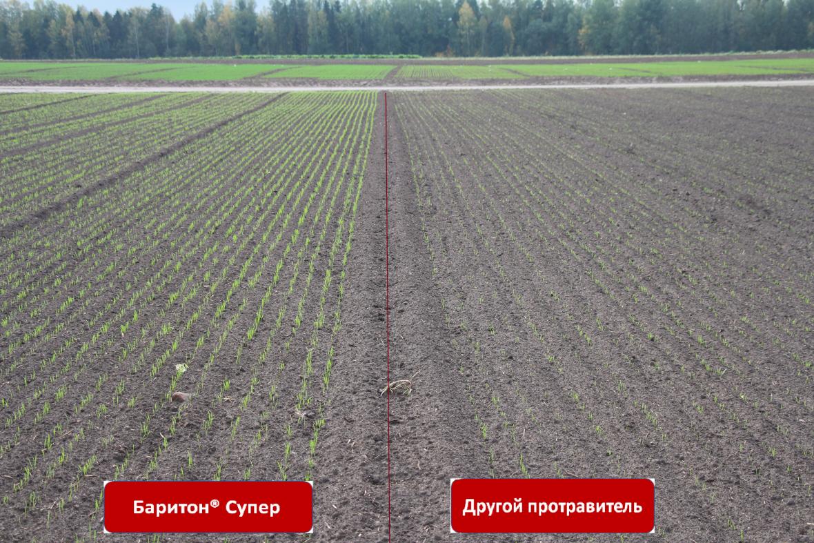 Баритон супер_протравитель
