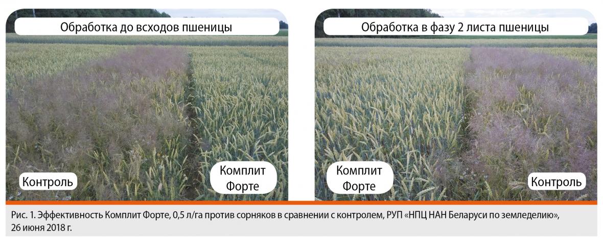 прополка озимых Комплит Форте