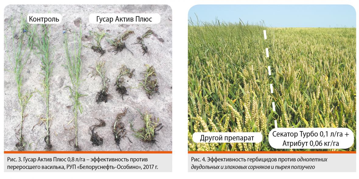 прополка озимых