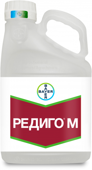 Фунгицидный протравитель