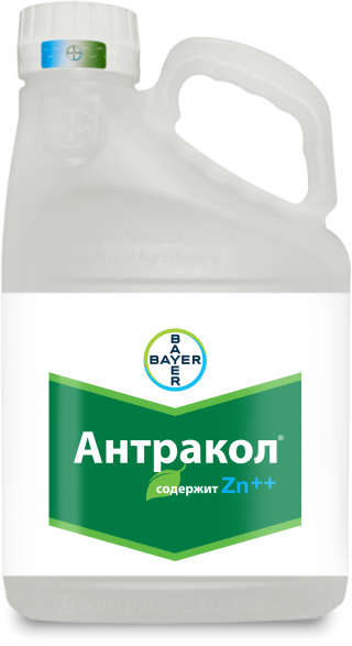Антракол фунгицид картофель