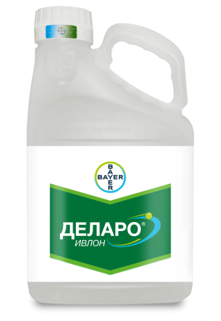 Новинка Деларо Ивлон