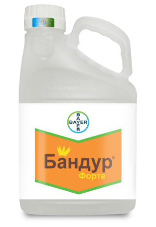 Бандур Форте гербицид