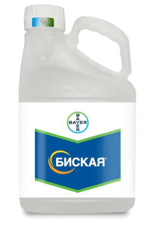 Биская — системный инсектицид кишечно-контактного действия