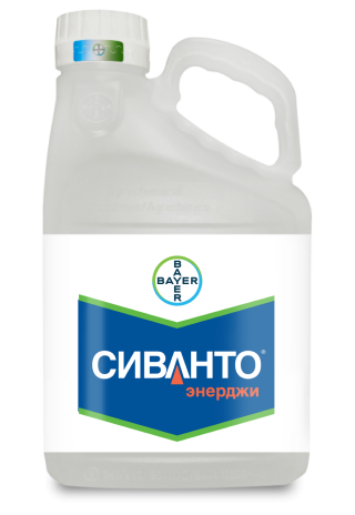 Сиванто Энерджи — инсектицид длительного действия для борьбы с вредителями рапса
