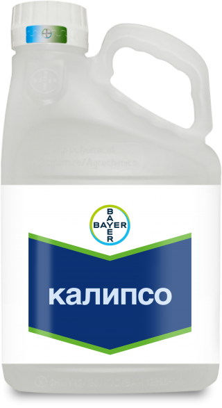 Системный инсектицид Калипсо на яблоне