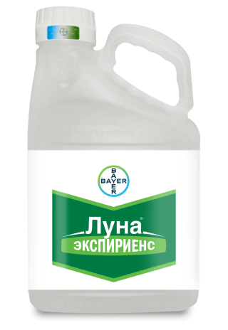 Фунгицид Луна Экспириенс 