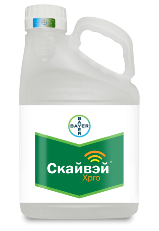 применение Скайвей 