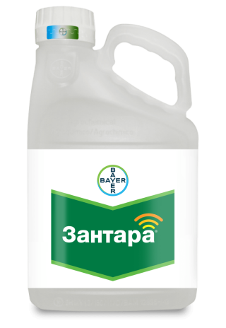 Фунгицид Зантара